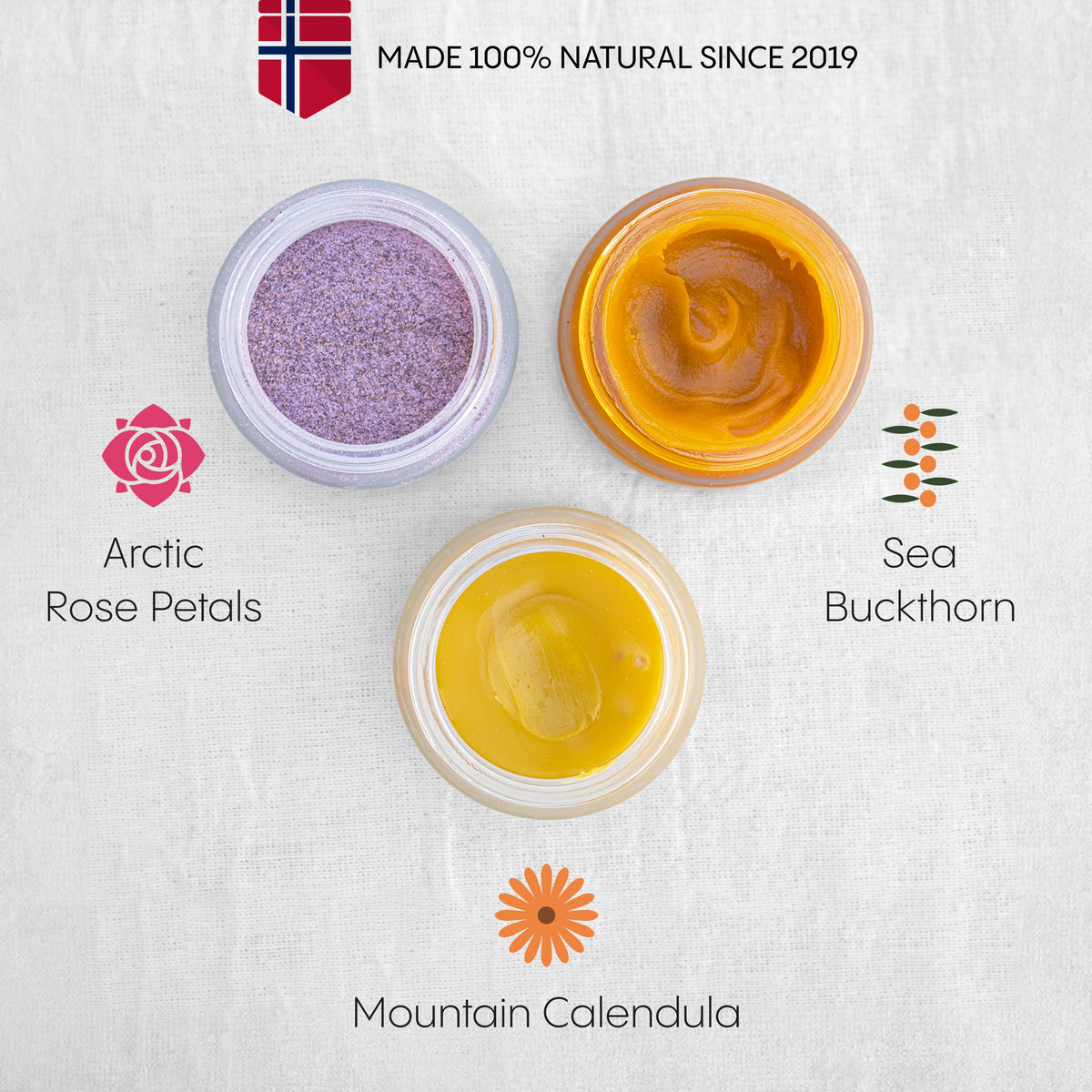 The Complete Acne System for Women